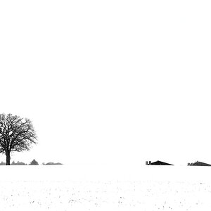 ZFF_2061_1-1.jpg
