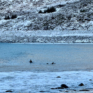 260202 Lofoten NF-F-7.jpg