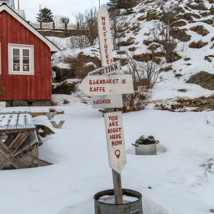 260204 Lofoten NF-F-1.jpg