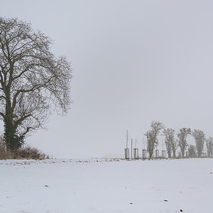 OFZ_03417.jpg
