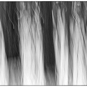 Schneewaldwischer_BW.jpg