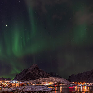 260207 Lofoten NF-F-27.jpg