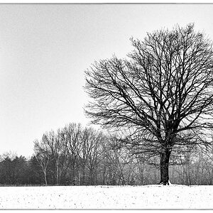 Natur und Technik_BW.jpg