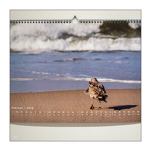 37/365 Lana Del Rey – High By The Beach © 2026 Sabine Lommatzsch