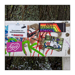 40/365 Bryan Ferry – Let’s Stick Together © 2026 Sabine Lommatzsch