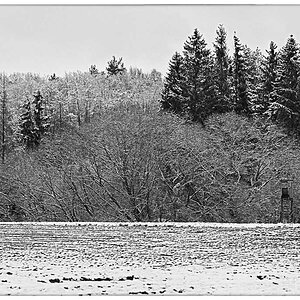 Am Waldrand 2_BW 2.jpg