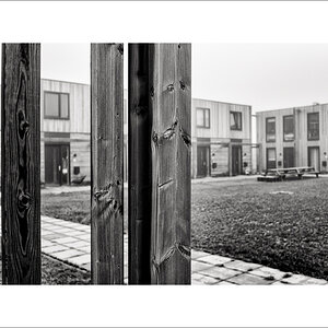 20260208-L1007012-Bearbeitet.JPG