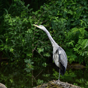 DSC_5207.JPG
