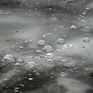 Tauwetter 1.jpg