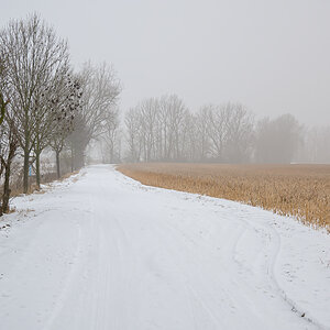 OFZ_03448.jpg