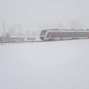 OFZ_03456.jpg