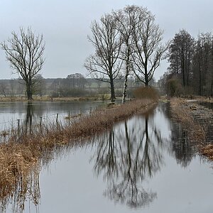 Hochwasser in den Seewiesen 1.jpg