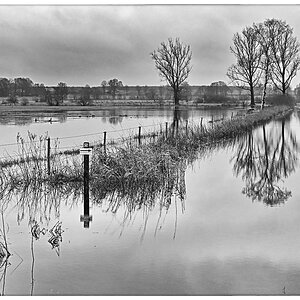 Hochwasser in den Seewiesen 4_BW.jpg