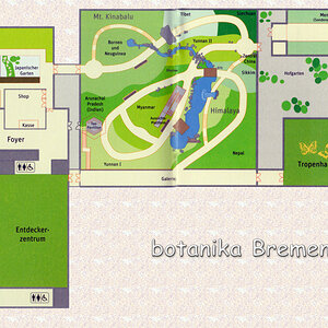 Botanika-001.jpg
