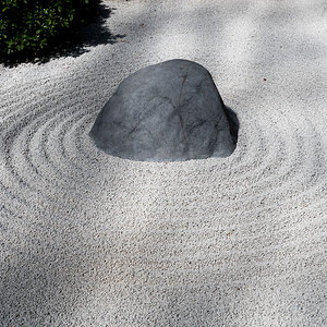 Botanika-005.jpg