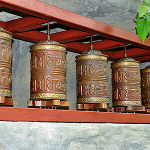 Botanika-009.jpg