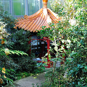 Botanika-010.jpg