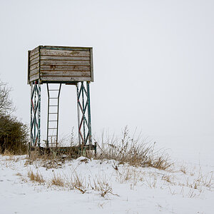 OFZ_03436.jpg