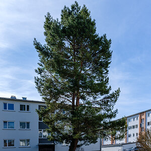 DSCF2626.jpg
