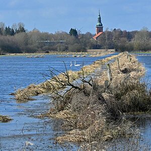 Seewiesen 1.jpg