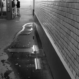 DSCF2681.jpg