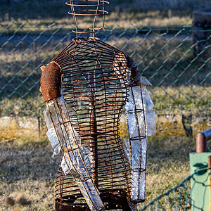 OF5_53081.jpg