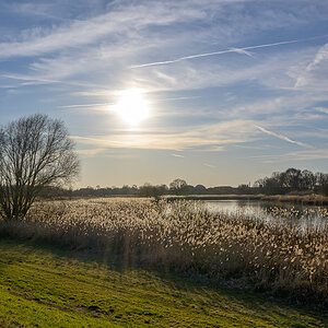 OFZ_03581.jpg