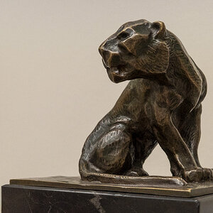 Der Panther