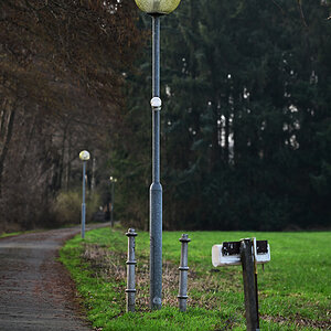 Z8A_1404fks40p1.jpg