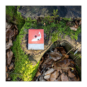 63/365 Ane Brun – You’ll Never Walk Alone © 2026 Sabine Lommatzsch