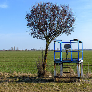 OF2_77006.jpg