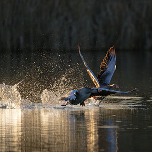 2026_009273.jpg