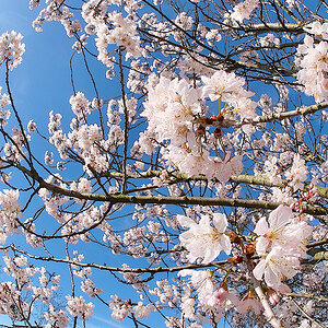 IMG_2026-03-13-095547.jpeg