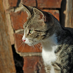 OF-DSC_7931.jpg