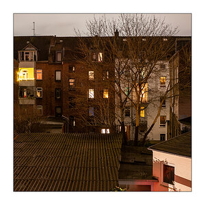 73/365 Aimee Mann – Nightmare Girl © 2026 Sabine Lommatzsch