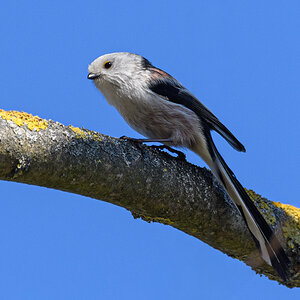 OF5_53180.jpg