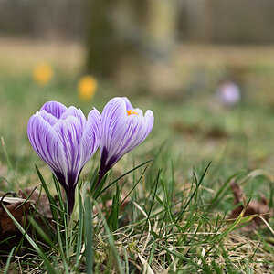 DSC_3603.JPG