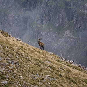 DSC_3110.jpg