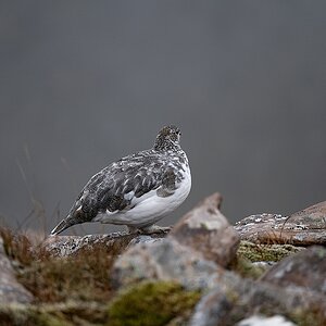 DSC_3144.jpg