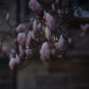 DSCF2864.jpg