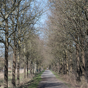 260318-001-2.jpg