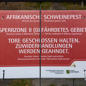 OF2_77119.jpg