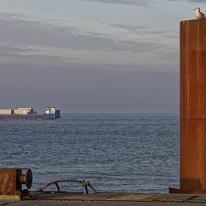 _DSC8415_DxO_xl.jpg