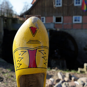 B0000718.jpg