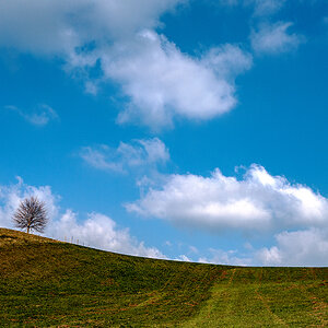 Landschaft.jpg