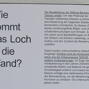 DSC_7417 - Kopie.JPG