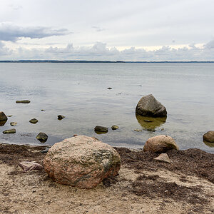OF2_65971.jpg