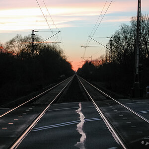 DSCN6937.jpg