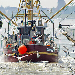 cuxhaven_fischer_2.jpg
