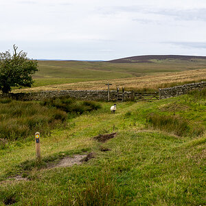 pw_20250906_3463.jpg